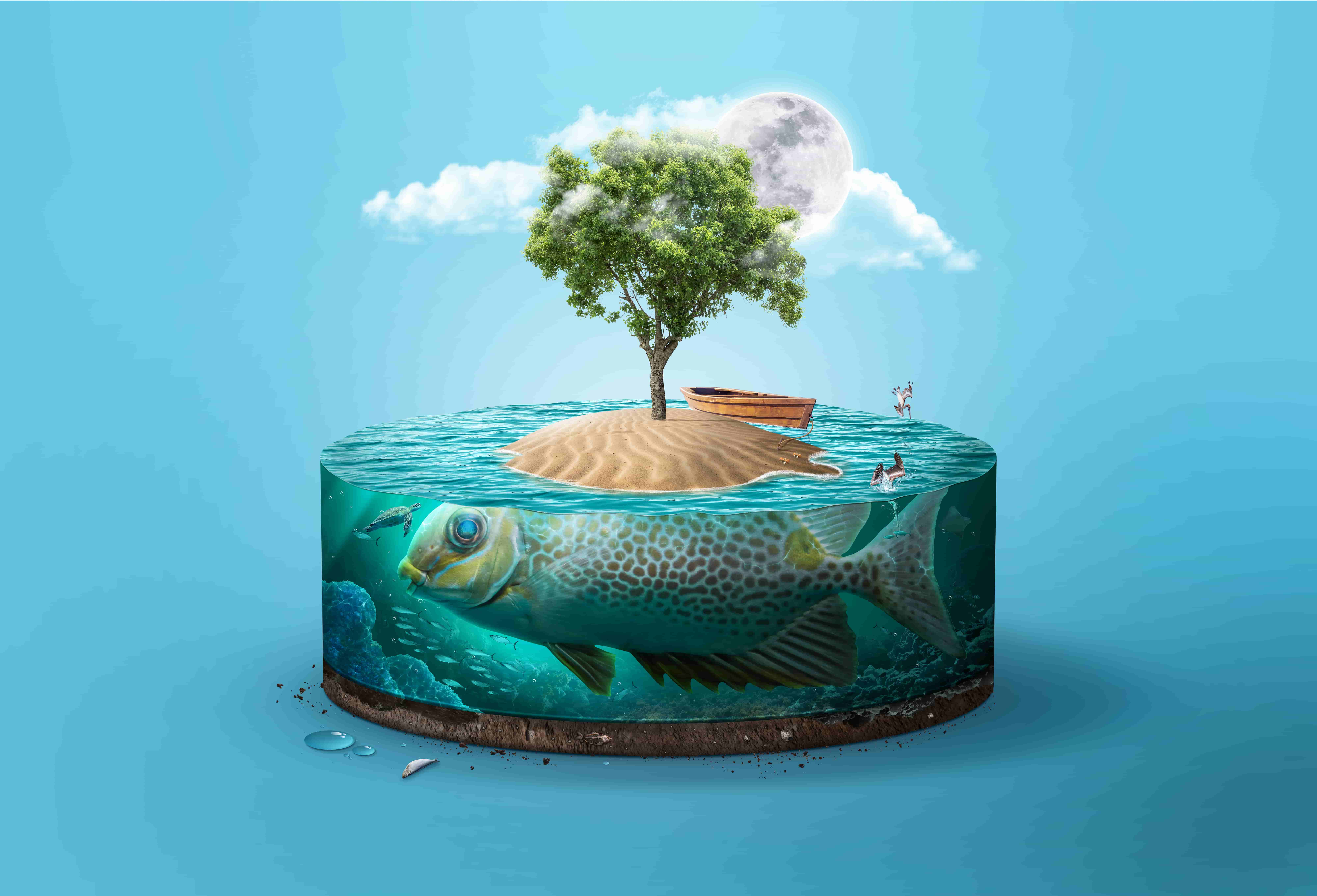 cut-aquarium-ocean-with-fish-inside-fish-island-isolated-with-tree (1)-min