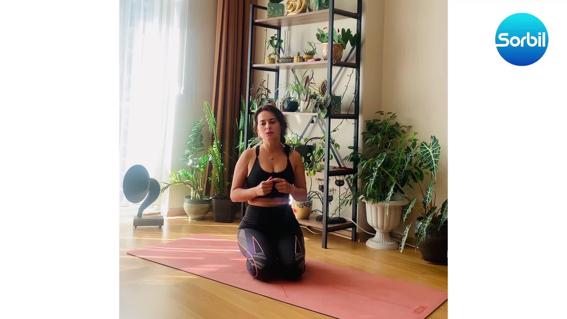 2- hatha yoga ve güneşe selam serisi