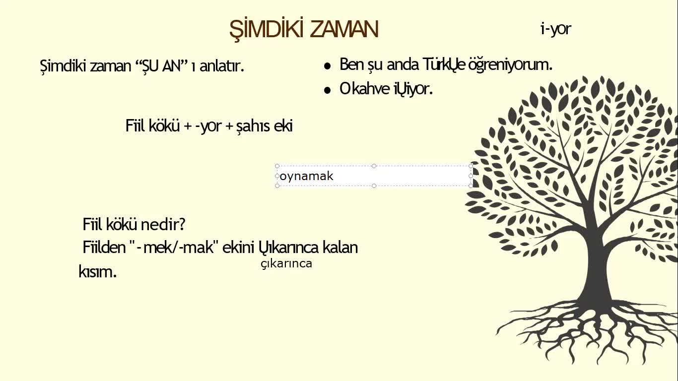 3- Şimdiki Zaman