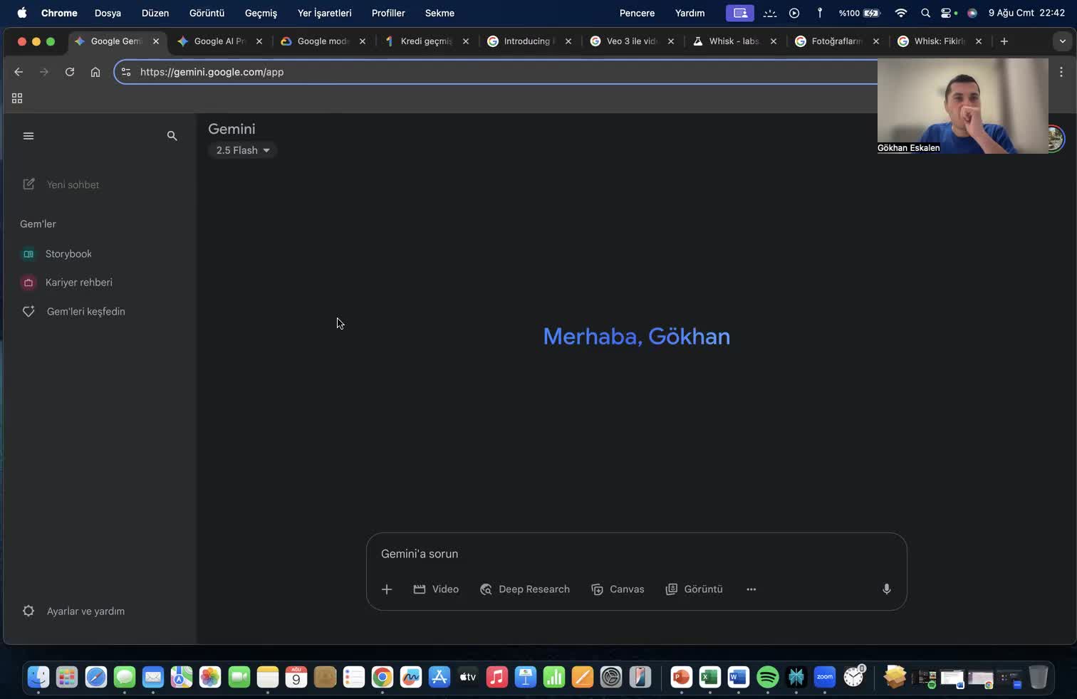 2- Gemini Web Platformuna Giriş