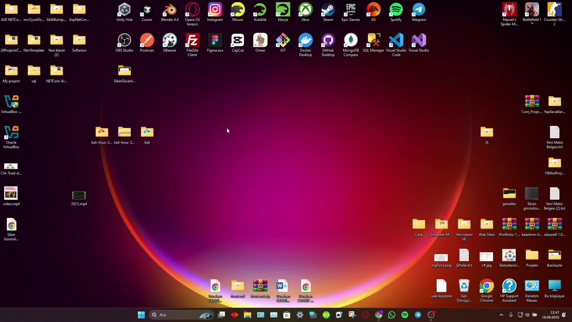 4- Kali Linux Kurulumu